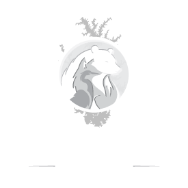 logo with lake norman bear fox and heron